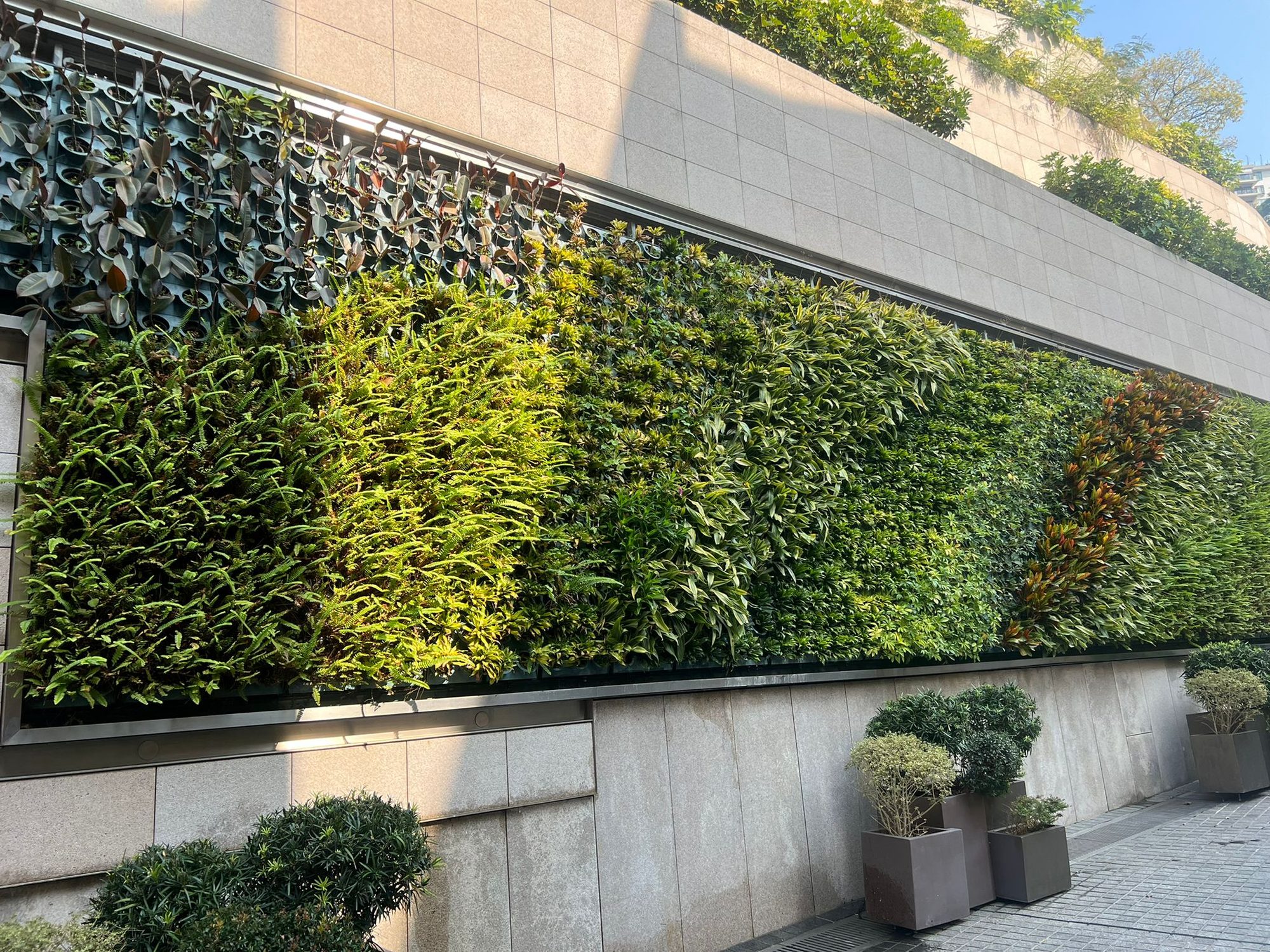 HF Green project