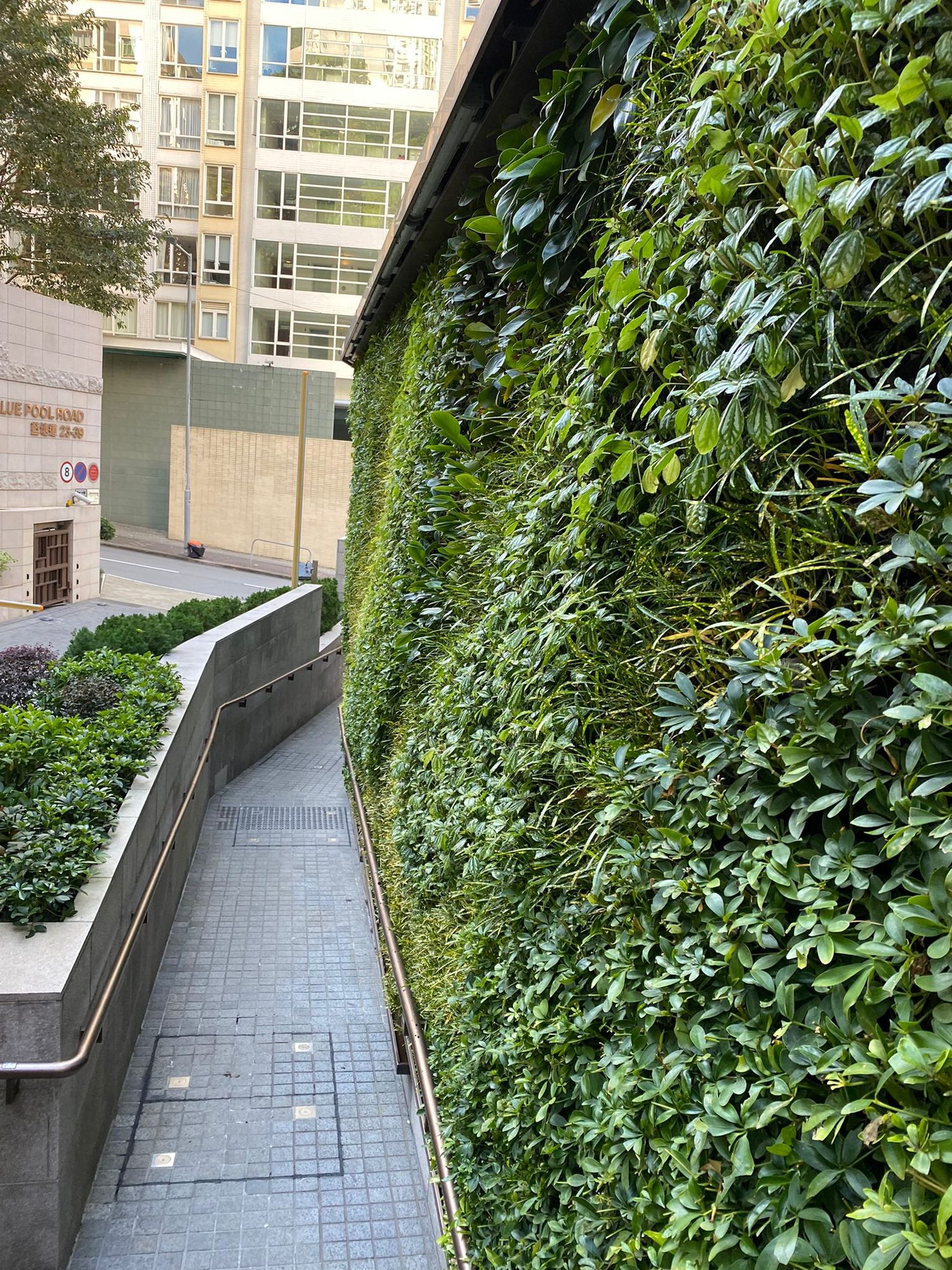 Blue Pool Road estate green wall maintenance