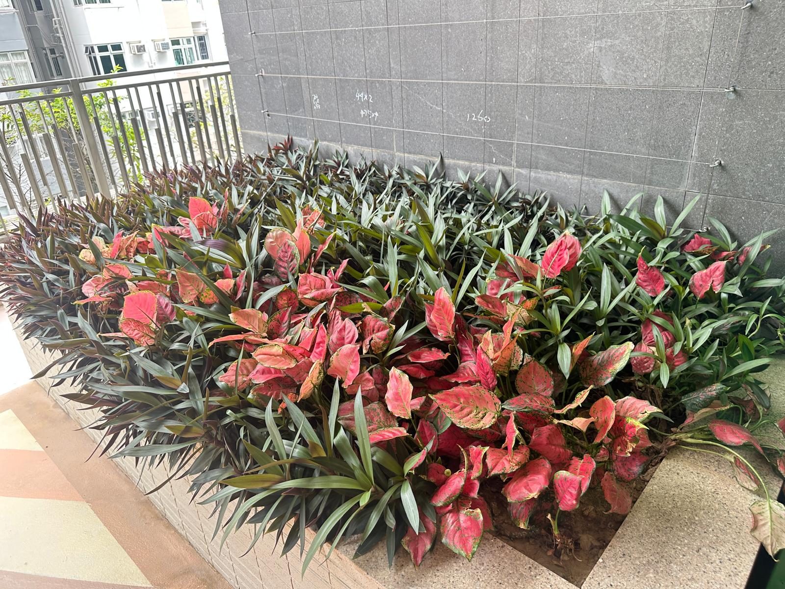 長沙灣私人屋苑 — 園藝恒常保養