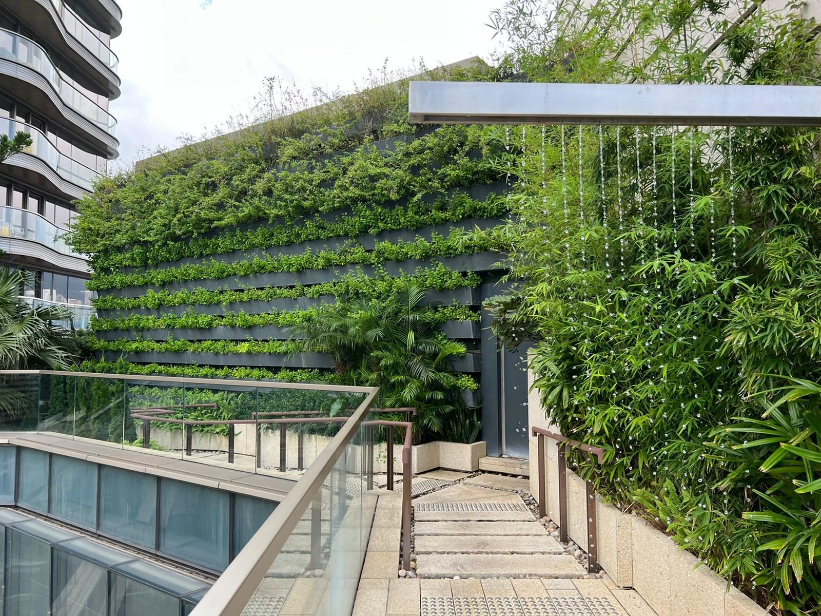 綠化香港,由牆開始
