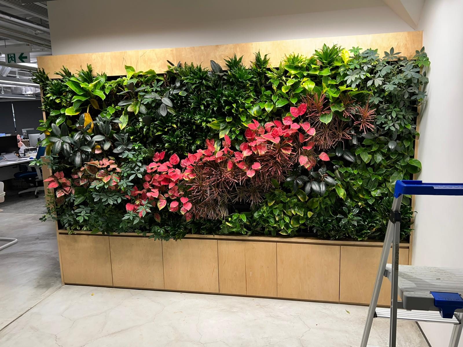 Kwun Tong office green wall