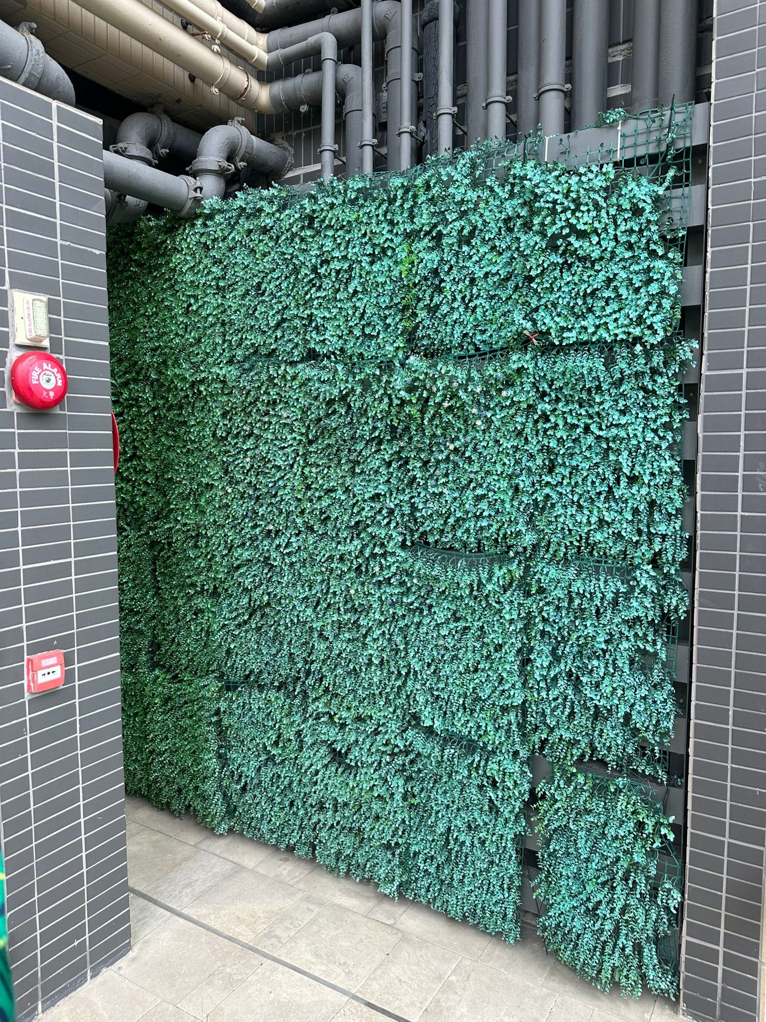 Tseung Kwan O estate imitation-plant wall