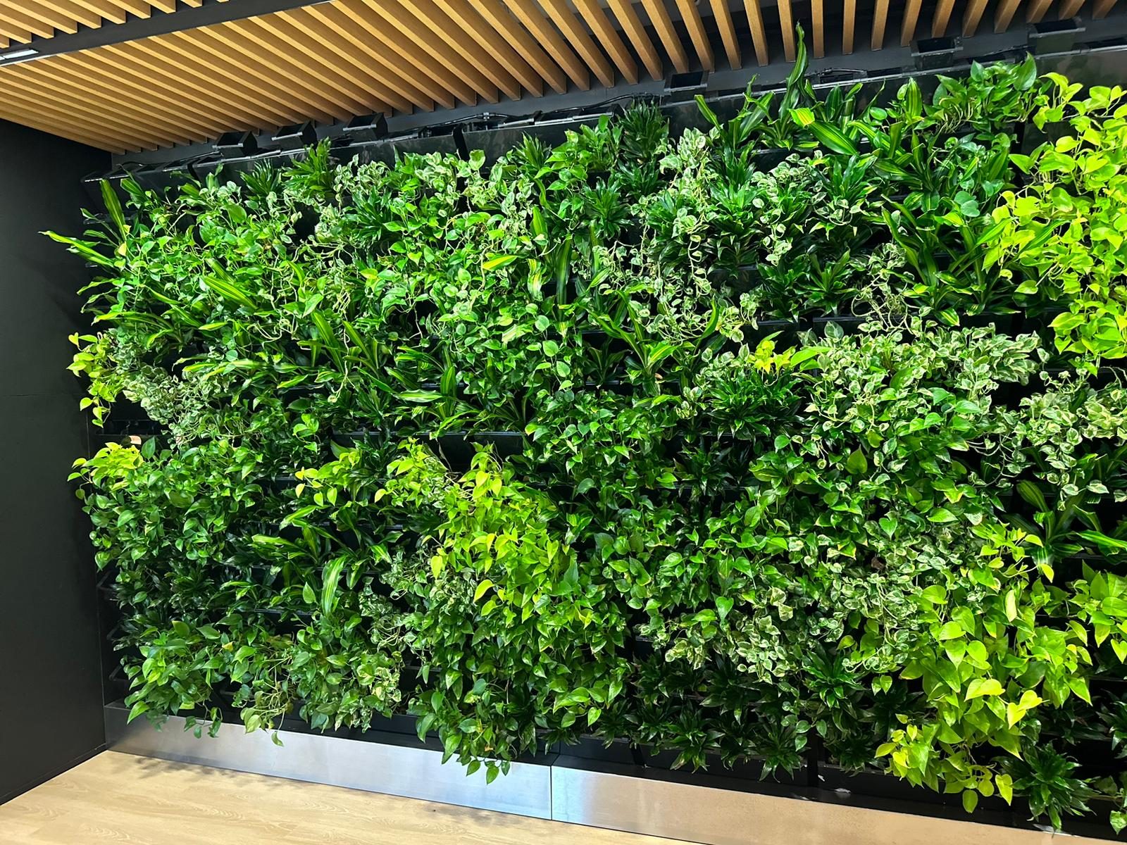 Wan Chai Swire office green wall