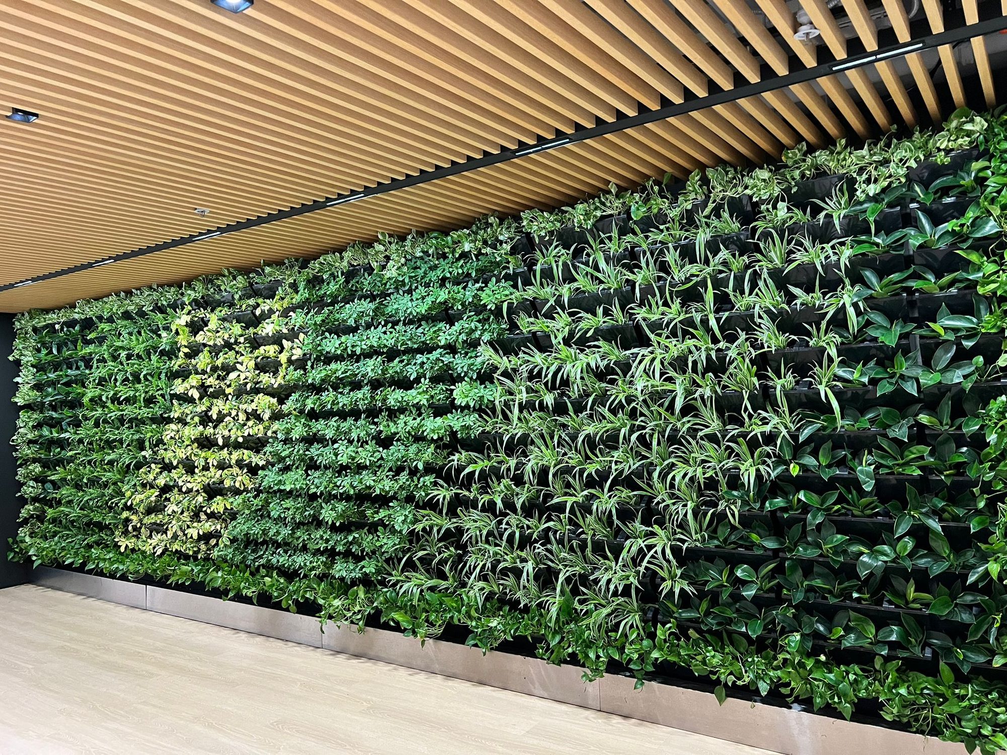 HF Green project